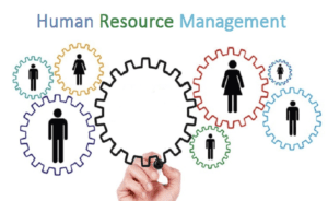 Human resources