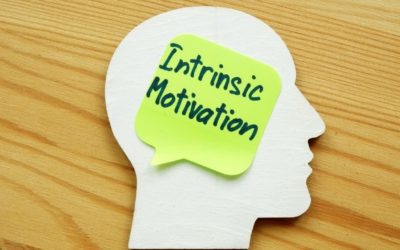 Intrinsic motivation