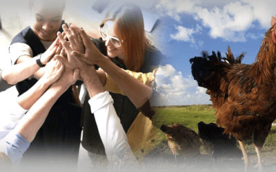 The Concept of “Free Chicken” and Its Relevance to Human Resources