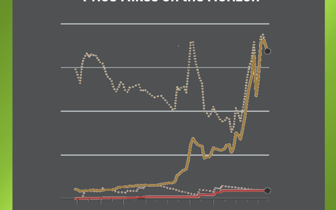 Price Hikes on the Horizon: Are You Ready to Pay More?