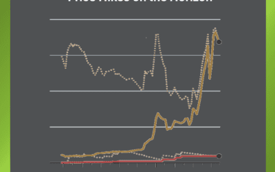 Price Hikes on the Horizon: Are You Ready to Pay More?