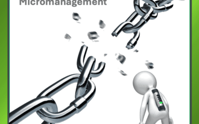 Breaking Free from Micromanagement