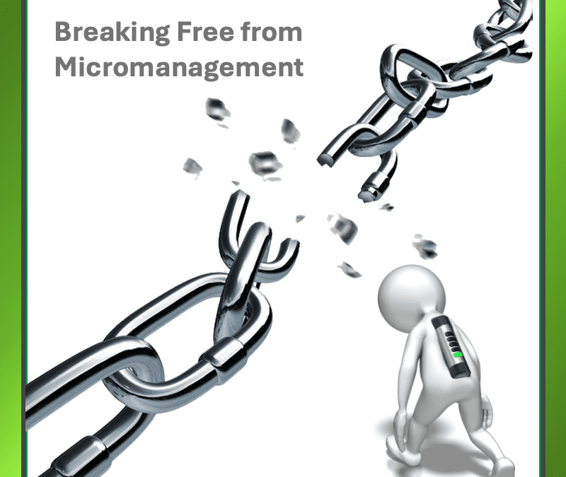 Breaking Free from Micromanagement
