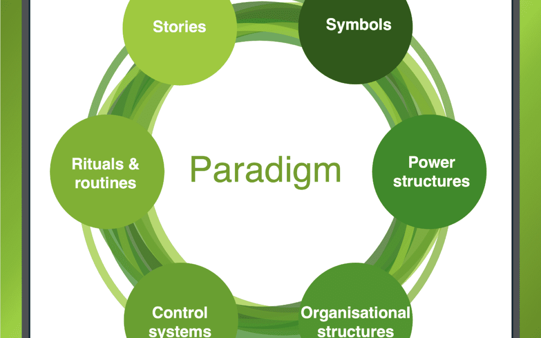 Using the Johnson and Scholes Cultural Web Model