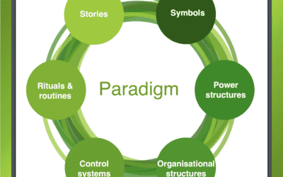Using the Johnson and Scholes Cultural Web Model