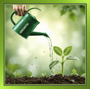 Thriving plant symbolising business growth with effective HR support