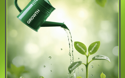 The Importance of HR Support for Growing Businesses