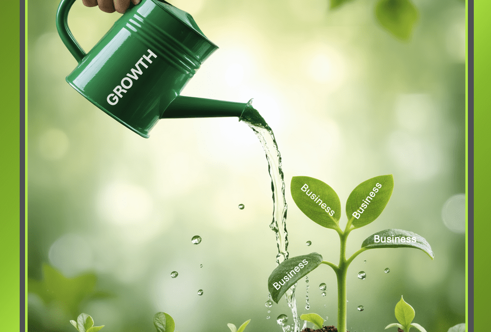 The Importance of HR Support for Growing Businesses