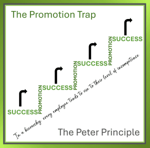 A success ladder rising upward, representing career progression and the Peter Principle