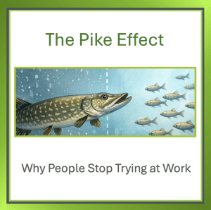 A pike on one side of a divide and smaller fish on the other, illustrating the Pike Effect and how past experiences of resistance can condition people to stop trying even when the barrier is gone.