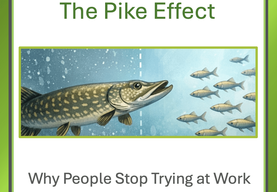 Why People Stop Trying at Work – The Pike Effect