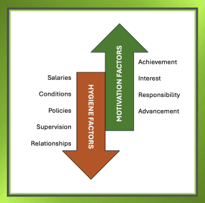 Up and down arrows symbolising hygiene factors and motivators in Herzberg’s Two-Factor Theory.