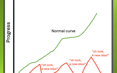 Shiny Object Syndrome in HR: when every new idea isn’t the right one.